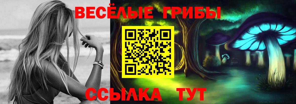 Галлюциногенные грибы Psilocybine cubensis Ялуторовск